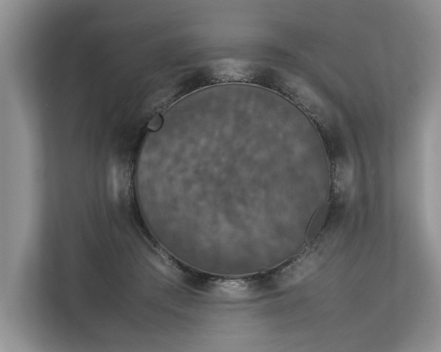 X0000112830409200909041506