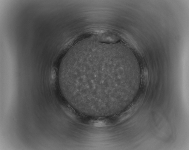 X0000112830412200909041506