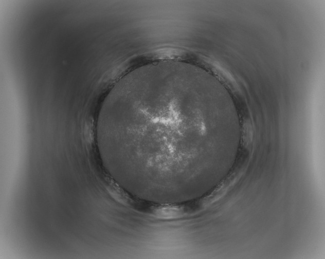 X0000112830413200909041506