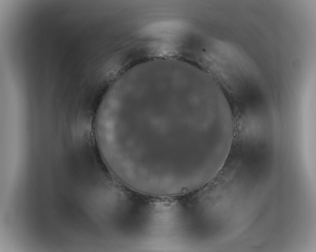 X0000112830415200909041506