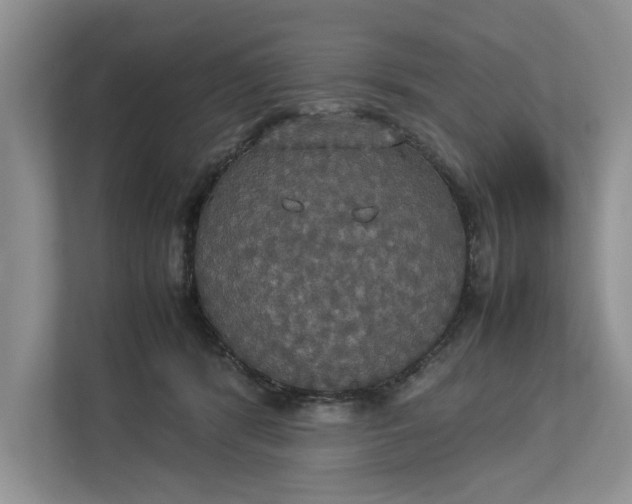 X0000112830416200909041506