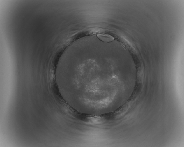 X0000112830417200909041506