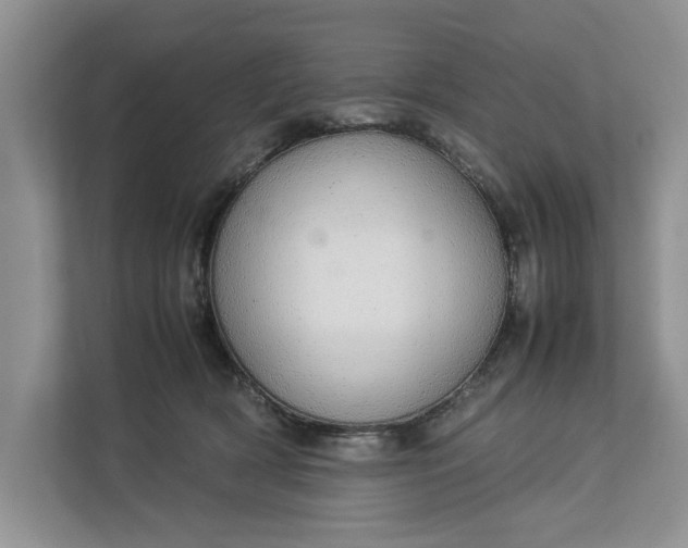 X0000112830418200909041506