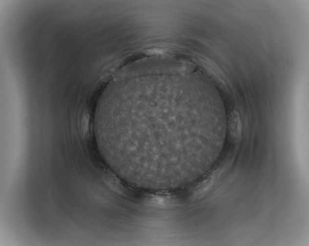 X0000112830420200909041506