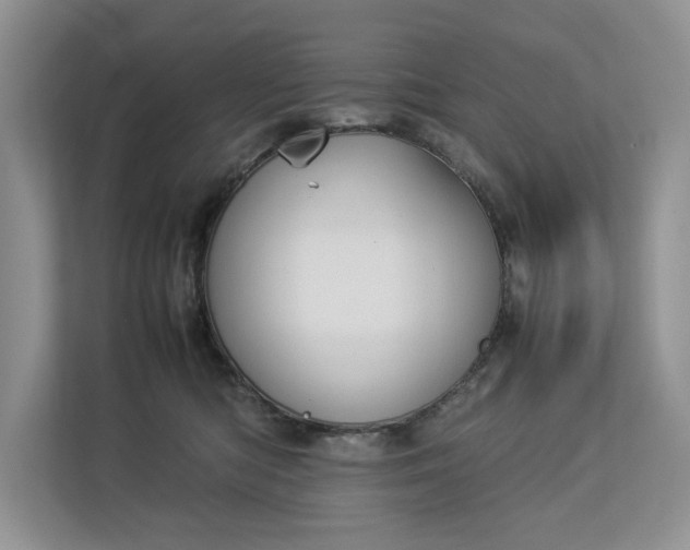 X0000112830422200909041506