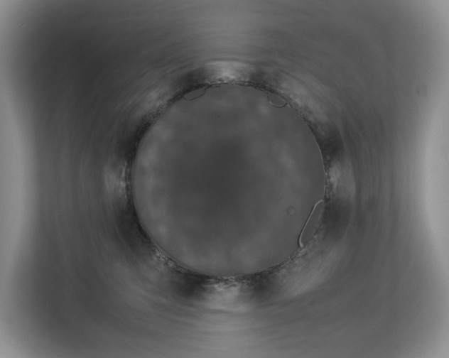 X0000112830423200909041506