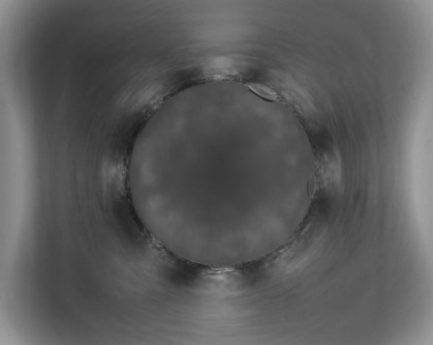 X0000112830427200909041506