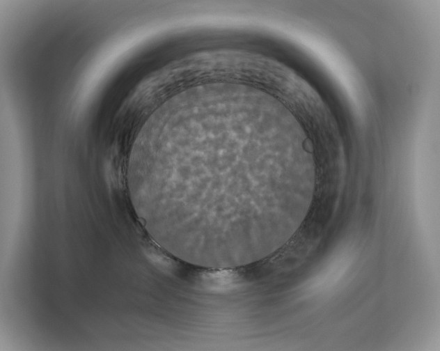 X0000112830431200909041506