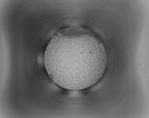 X0000112830432200909041506