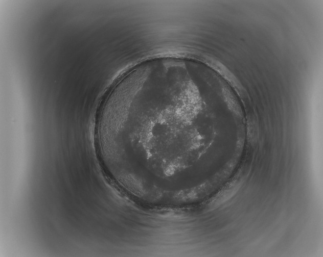 X0000112830434200909041506