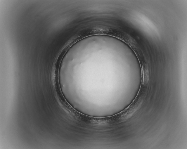 X0000112830435200909041506