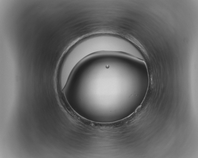 X0000112830436200909041506