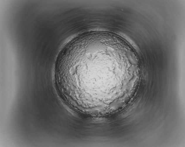 X0000112830437200909041506