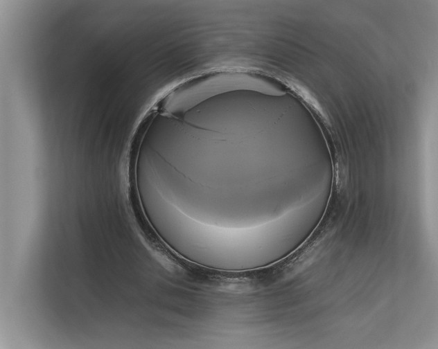 X0000112830438200909041506