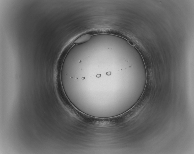 X0000112830440200909041506