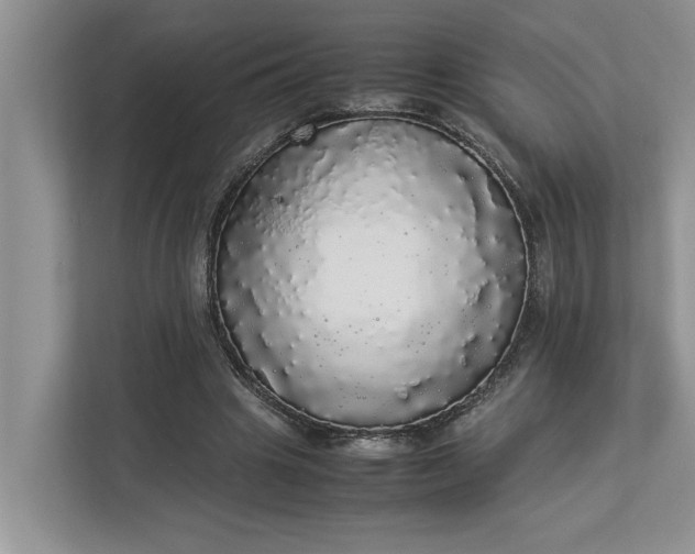 X0000112830441200909041506