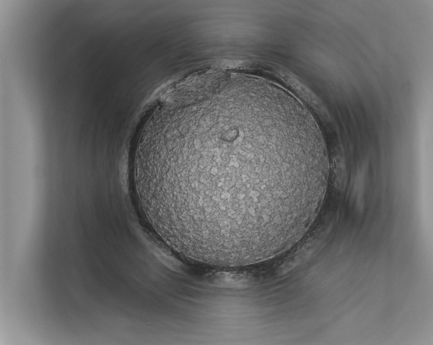 X0000112830442200909041506