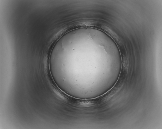 X0000112830445200909041506