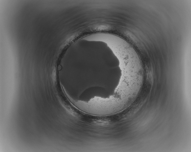 X0000112830447200909041506