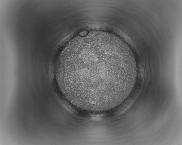 X0000112830450200909041506