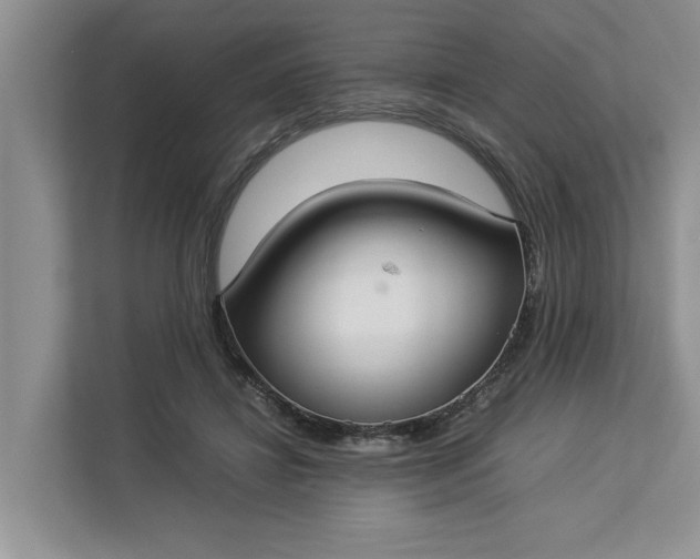 X0000112830452200909041506