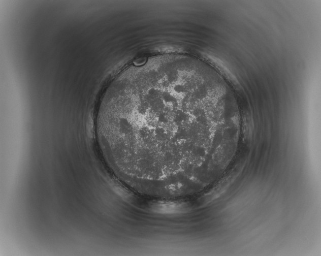 X0000112830453200909041506