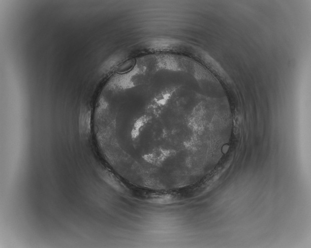 X0000112830454200909041506