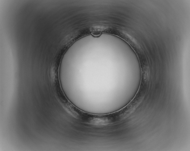 X0000112830455200909041506