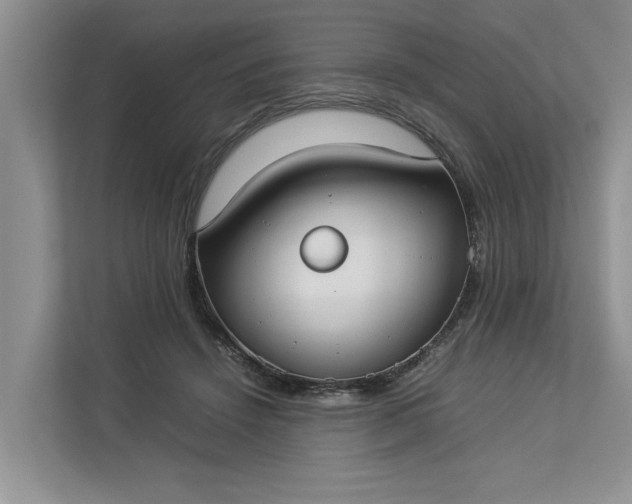 X0000112830456200909041506