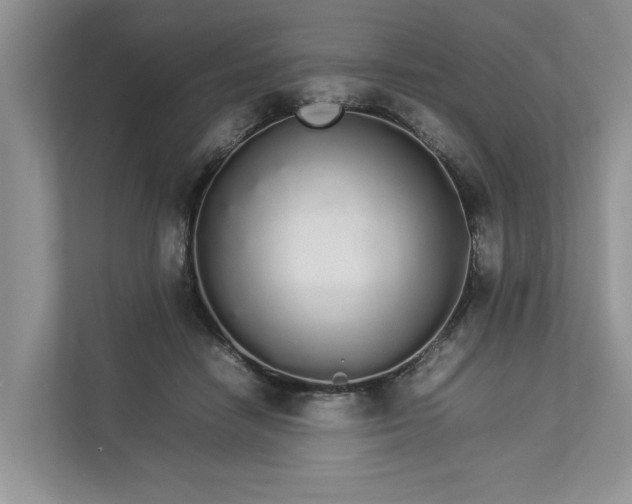 X0000112830458200909041506