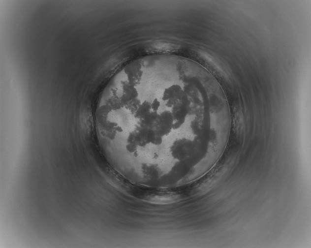 X0000112830459200909041506