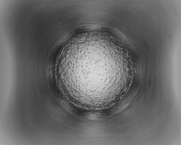 X0000112830462200909041506