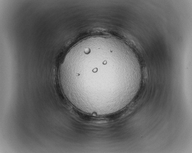 X0000112830463200909041506