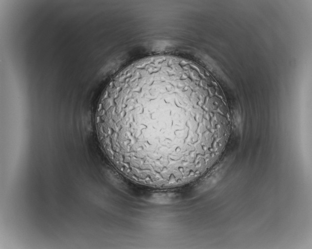 X0000112830470200909041506