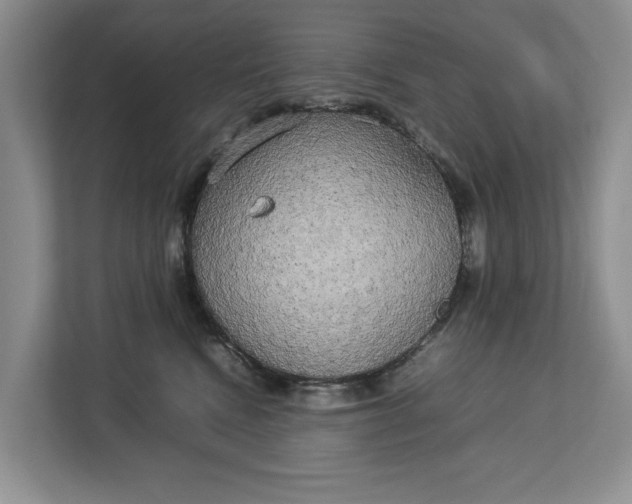 X0000112830472200909041506