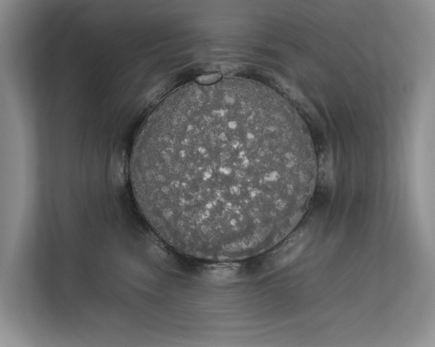 X0000112830474200909041506