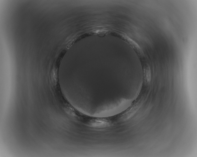 X0000112830475200909041506