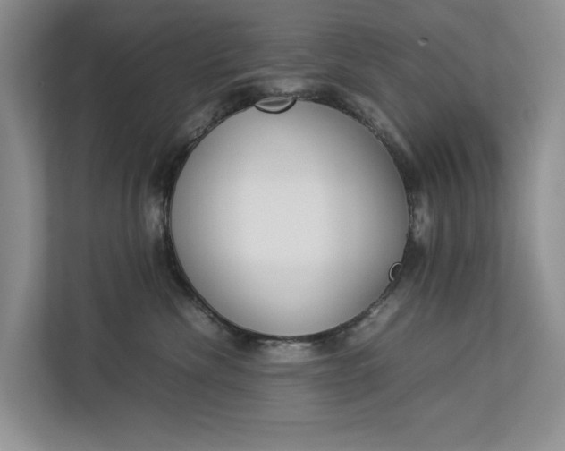 X0000112830476200909041506