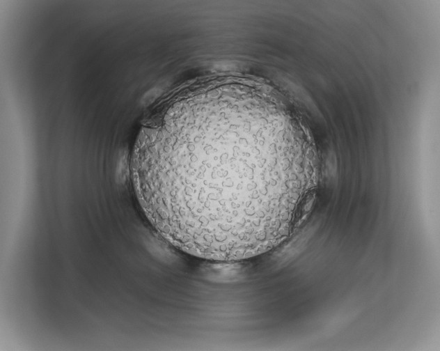 X0000112830478200909041506