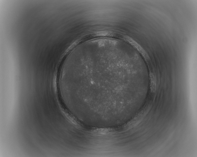 X0000112830482200909041506