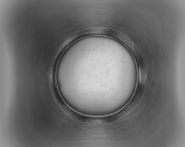 X0000112830483200909041506