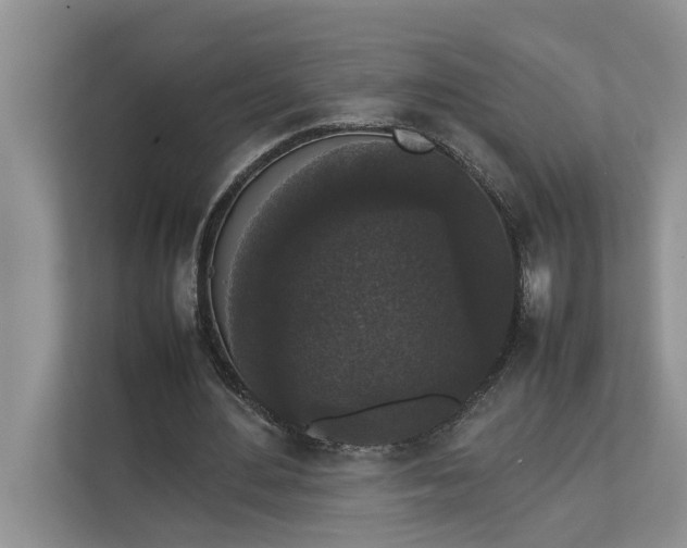 X0000112830484200909041506