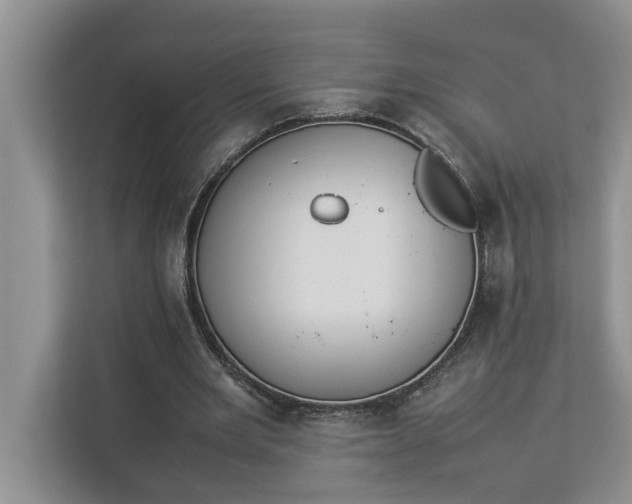 X0000112830485200909041505