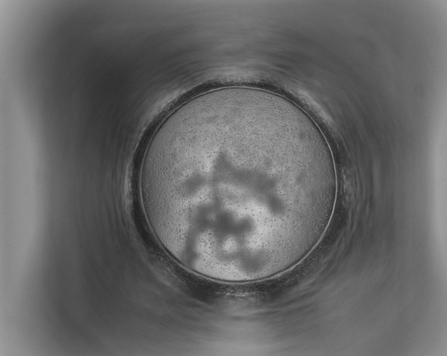 X0000112830487200909041505