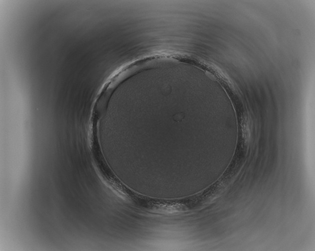 X0000112830488200909041505