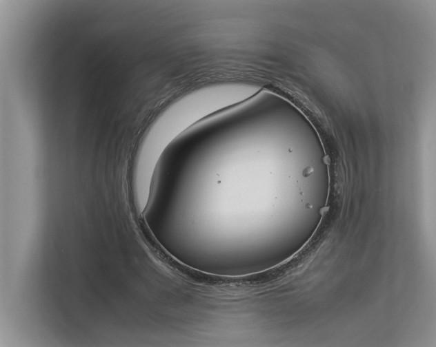 X0000112830489200909041505