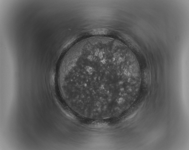 X0000112830491200909041505