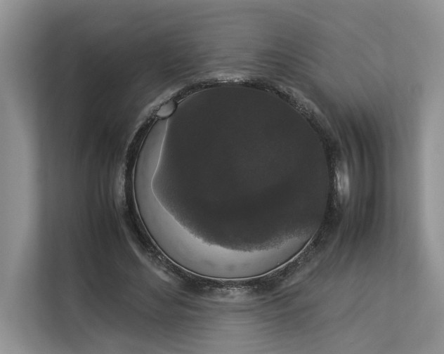 X0000112830492200909041505