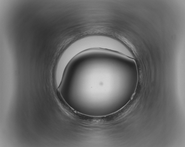 X0000112830493200909041505