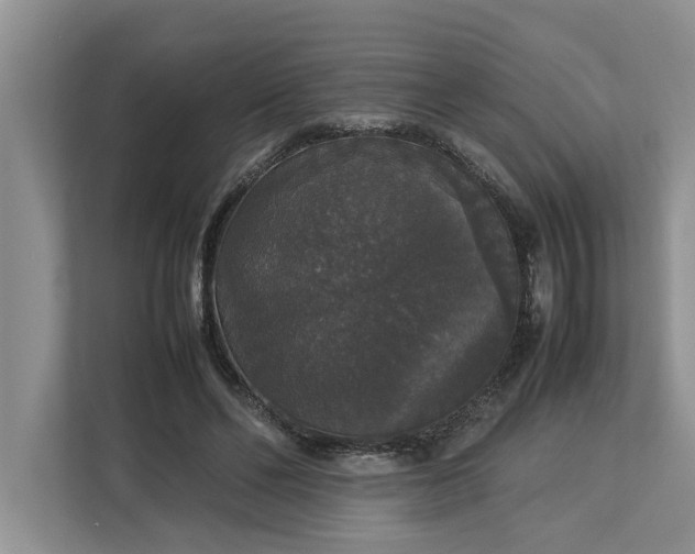 X0000112830494200909041505